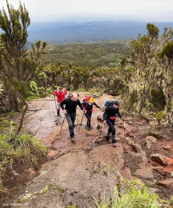 ������������ 2021.  �������, ���� 58