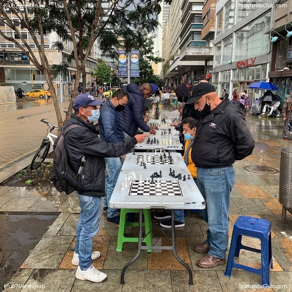 �������� 2021. ������� ���������, ���� 81