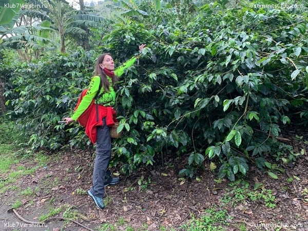 �������� 2021. ������� ���������, ���� 27