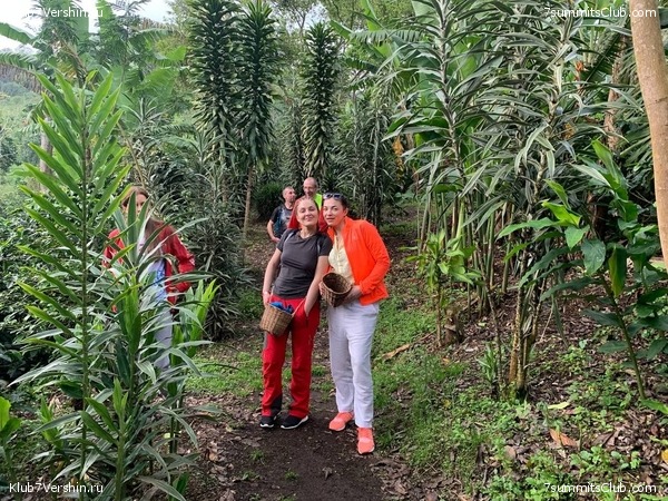 �������� 2021. ������� ���������, ���� 28