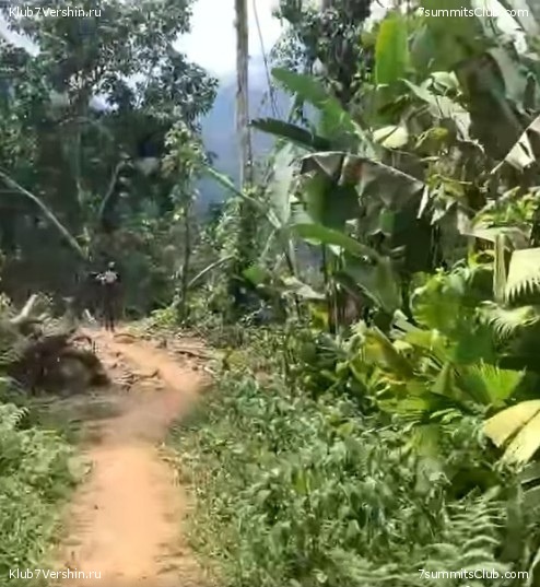 �������� 2021. ������� ���������, ���� 105