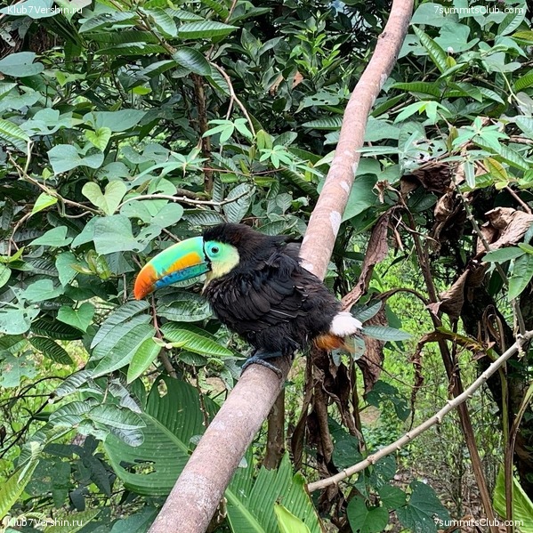 �������� 2021. ������� ���������, ���� 65