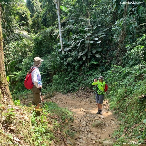 �������� 2021. ������� ���������, ���� 68