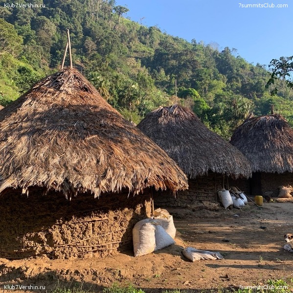 �������� 2021. ������� ���������, ���� 75