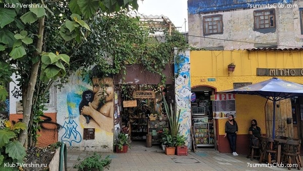 �������� 2021. ���������� ���� ���������, ���� 11