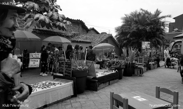 �������� 2021. ���������� ���� ���������, ���� 74