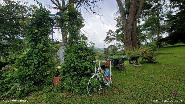 �������� 2021. ���������� ���� ���������, ���� 15