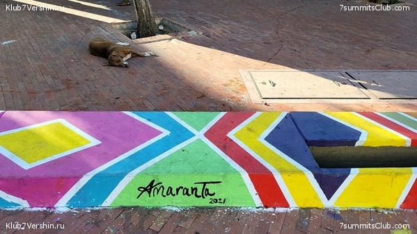 �������� 2021. ���������� ���� ���������, ���� 40