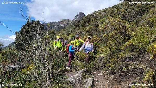 �������� 2021. ���������� ���� ���������, ���� 41