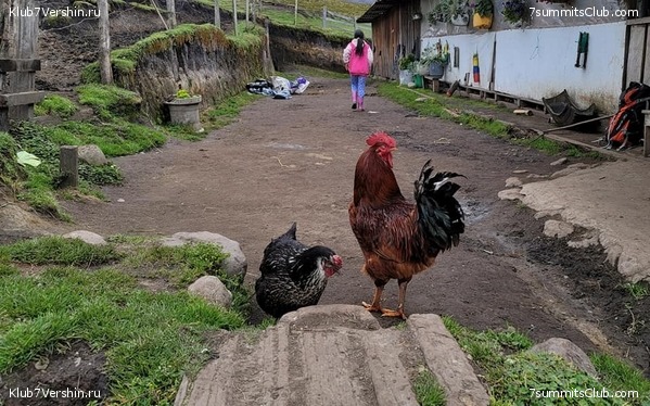 �������� 2021. ���������� ���� ���������, ���� 80