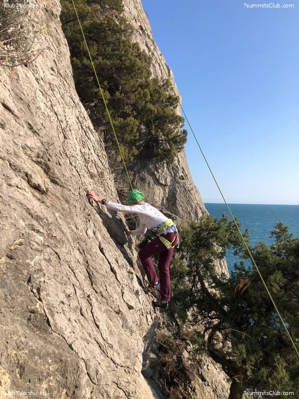 ����. ����� 2021 ����, ���� 65