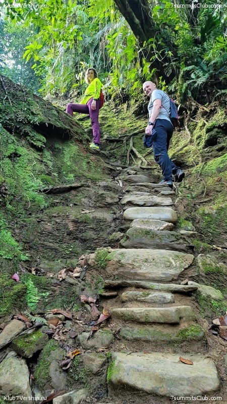 �������� 2021. ���������� ���� ���������, ���� 99