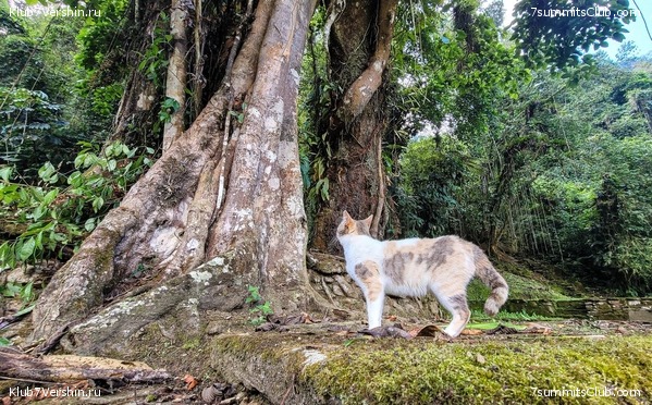 �������� 2021. ���������� ���� ���������, ���� 81