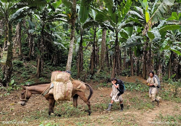 �������� 2021. ���������� ���� ���������, ���� 87