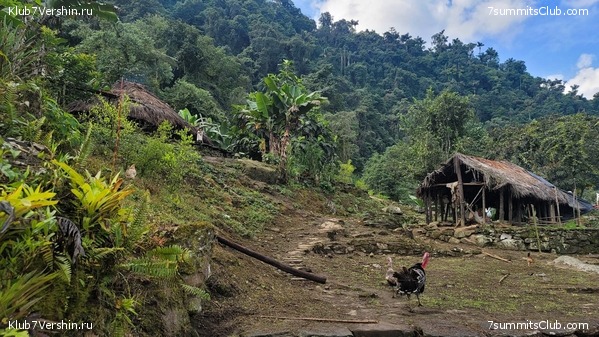 �������� 2021. ���������� ���� ���������, ���� 53