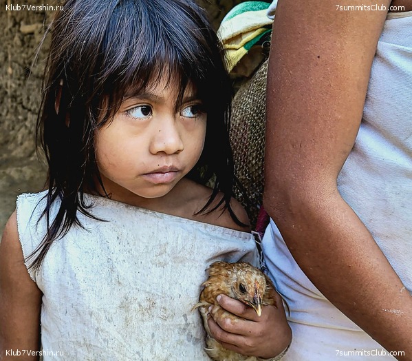 �������� 2021. ���������� ���� ���������, ���� 91