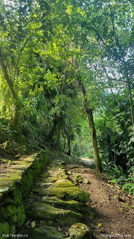 �������� 2021. ���������� ���� ���������, ���� 100