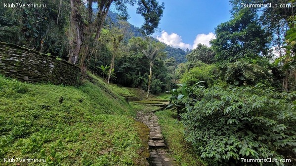 �������� 2021. ���������� ���� ���������, ���� 57