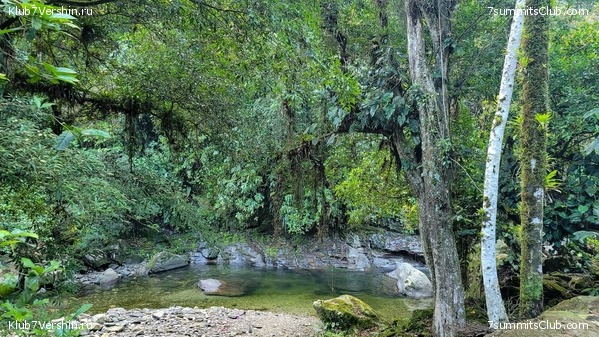 �������� 2021. ���������� ���� ���������, ���� 58