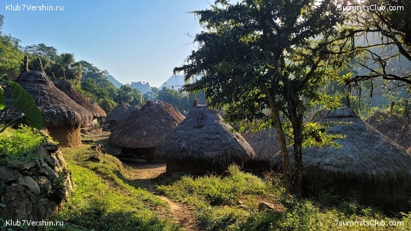 �������� 2021. ���������� ���� ���������, ���� 59