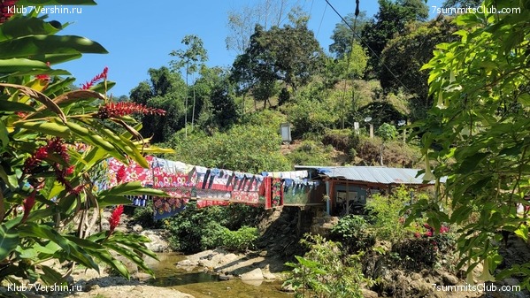 �������� 2021. ���������� ���� ���������, ���� 61