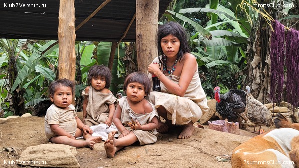 �������� 2021. ���������� ���� ���������, ���� 62