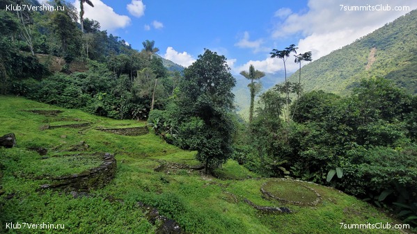 �������� 2021. ���������� ���� ���������, ���� 65