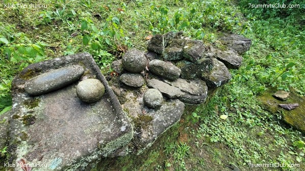 �������� 2021. ���������� ���� ���������, ���� 66