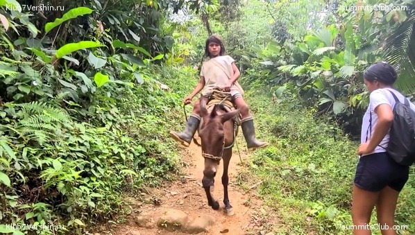 �������� 2021. ���������� ���� ���������, ���� 68