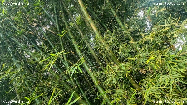 �������� 2021. ���������� ���� ���������, ���� 67