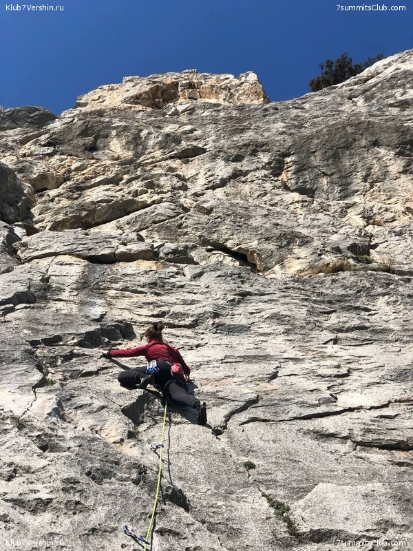 ����. ����� 2021 ����, ���� 79