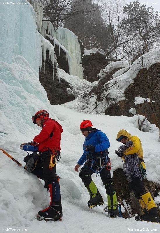 3- .         ..,  37