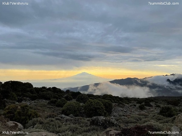 ������������ 2021.  �������, ���� 37