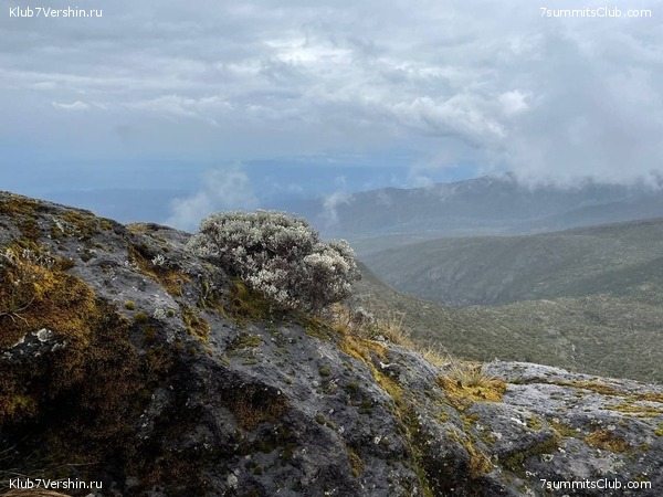 ������������ 2021.  �������, ���� 39