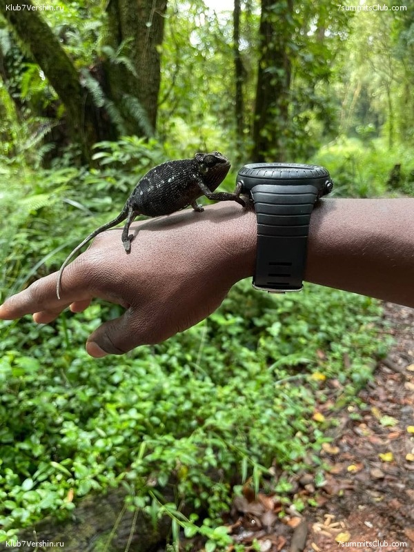 ������������ 2021.  �������, ���� 72