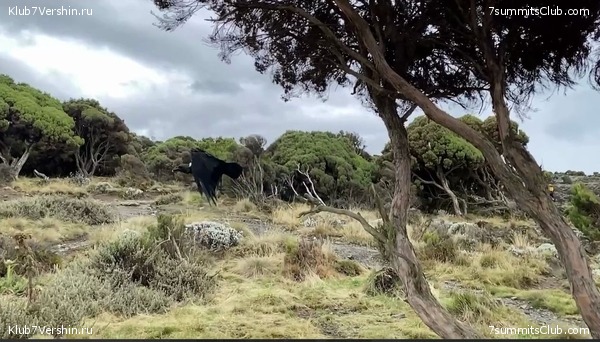 ������������ 2021.  �������, ���� 9