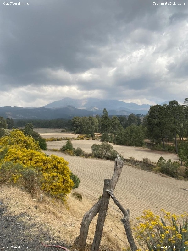 ������� 2021 ���. ������, ���� 15