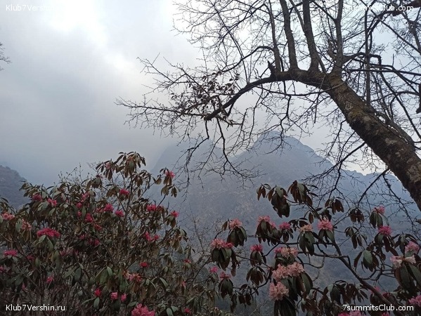 ���������� ������� - ������ 2021. ������, ���� 67