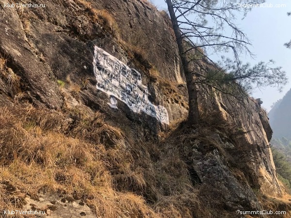 ���������� ������� - ������ 2021. ������, ���� 81