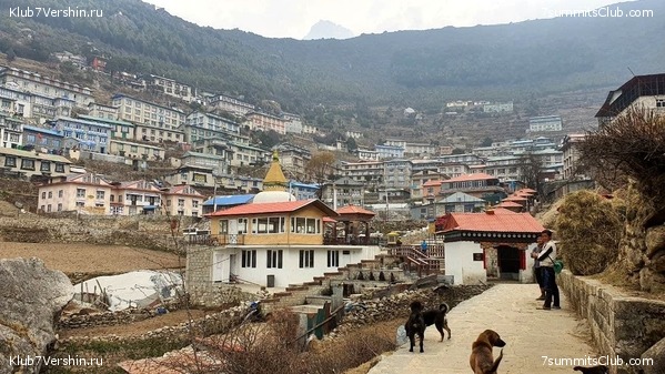 ����� 2021. ������ ���� �� ����� �����. ������ �������, ���� 8