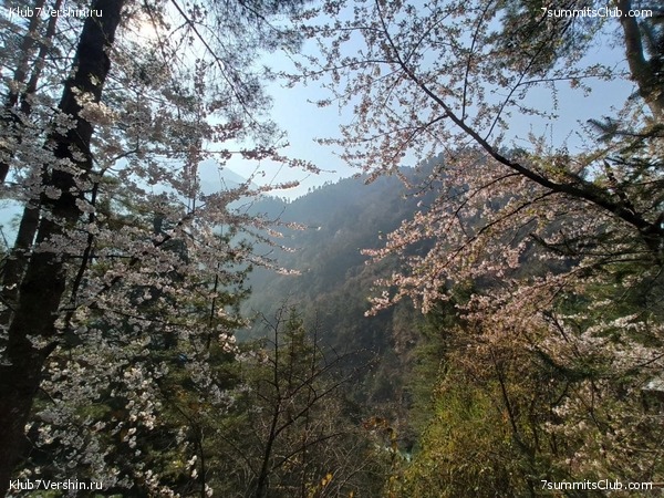 ���������� ������� - ������ 2021. ������, ���� 100