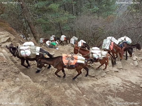 ���������� ������� - ������ 2021. ������, ���� 107