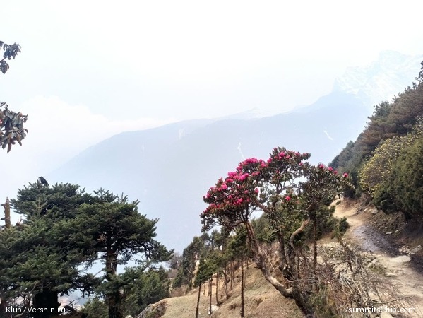 ���������� ������� - ������ 2021. ������, ���� 112