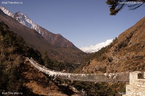   -  2021.  2,    ,  37