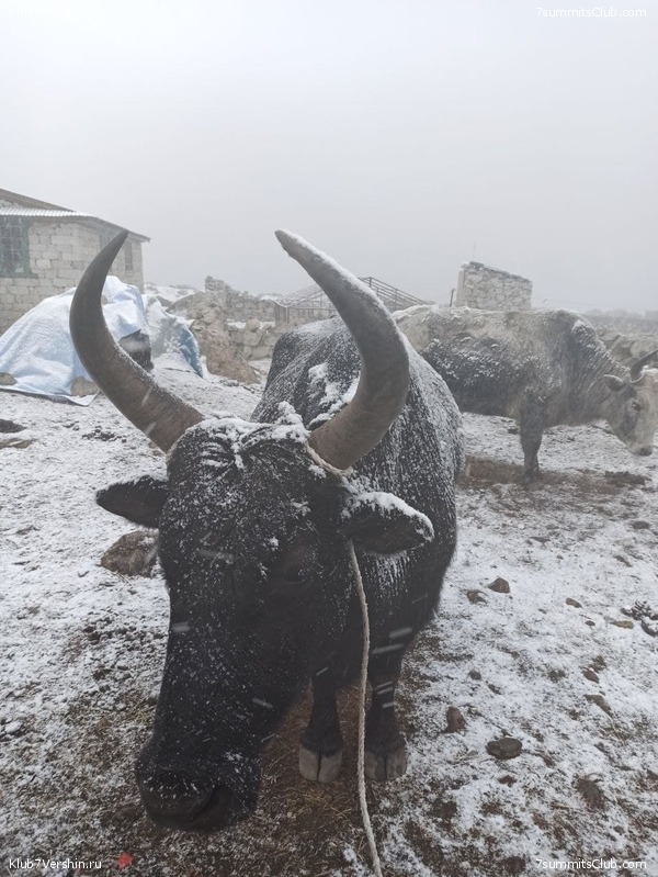 ���������� ������� - ������ 2021. ����� 2, ���� � �������� ������, ���� 178