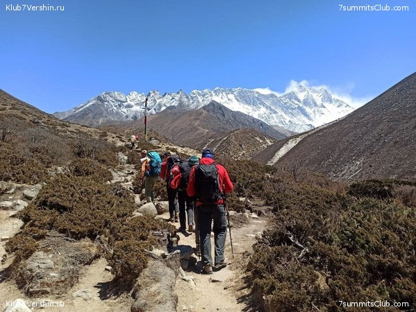   -  2021.  2,    ,  86