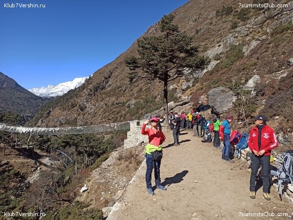   -  2021.  2,    ,  87