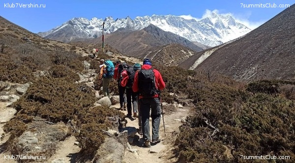   -  2021.  2,    ,  1