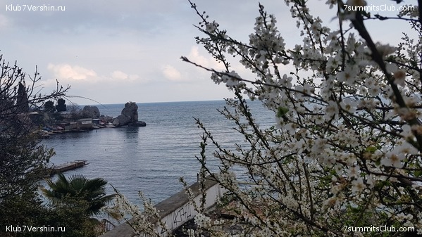 ����. ����� 2021 ����, ���� 10