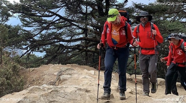   -  2021.  2,    ,  4